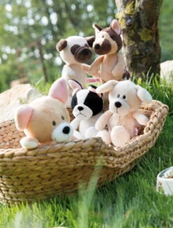 Nici 34 Nici -Nici 45100 08 Milieu 1561x20481lwOskeOphzek