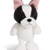 Nici 45101 Französische Bulldogge Ca 20cm Dog Friends Schlenker Plüsch 1 Nici 45101 Französische Bulldogge Ca 20cm Dog Friends Schlenker Plüsch -Nici 45101 01 HA Frei 1638x2048