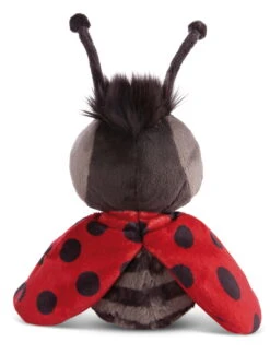 Nici 27 Nici -Nici 48202 02 ZA Frei 1560x2048